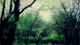 Space Sugar "Silence"