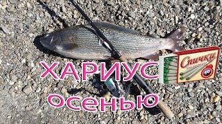 Осенняя рыбалка на хариуса в Приморском крае.