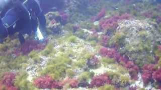 Camera Isaw A1 HD - Dive mode