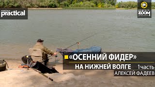 Осенний фидер на нижней Волге. Алексей Фадеев. 1 часть.
