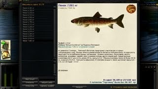 Atom Fishing. Мировой рекорд, Ленок.
