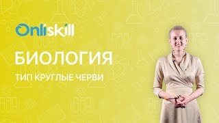 Биология 7 класс: Тип Круглые черви