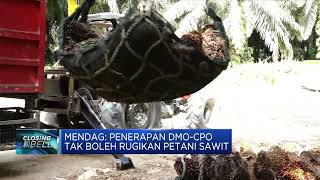 Mendag: Penerapan DMO-CPO Tak Boleh Rugikan Petani Sawit