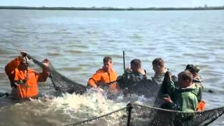 о Славянске-на-Кубани