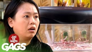 Shredding Strangers' Money, Hosing Down Strangers Prank