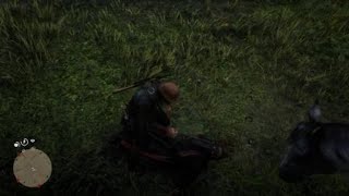 Куклус клан в RDR2