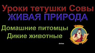 Уроки природы Тетушка Сова все серии без титров