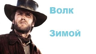 Обзор нового кодекса "Space Wolves". Часть первая.