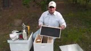 Bees for beginners part 2