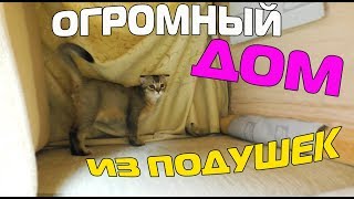 ОГРОМНЫЙ ПОДУШЕЧНЫЙ ДОМ ДЛЯ КОТЯТ, КОТОВ И СОБАКИ СВОИМИ РУКАМИ | ВИДЕО ДЛЯ ДЕТЕЙ