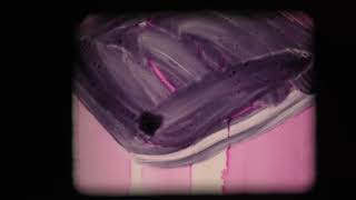 Scratch Film