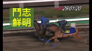 R5 選一匹鬥志鮮明嘅馬 作膽