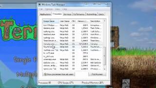 How to fix lag on terraria