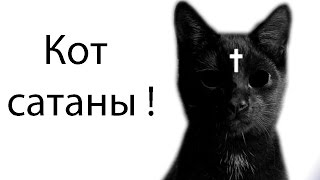 Кот сатаны !