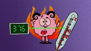 ❗❓Наука для детей - Температура тела. Крионика | Смешарики Пинкод - Перемотка