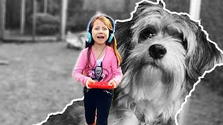 MIN HUND ER VÆK!