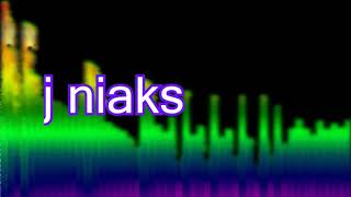 FUN DJ NIAKS  "  jiduline badji     bala basene "