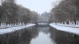 winter - Free Stock Video  32