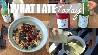 What I Ate Today as a HCLF Vegan + Sunburn