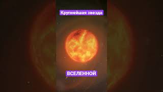 Одна из самых гигантских звезд Вселенной #shorts