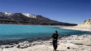 Terre Ferme Collectif - PachaMama