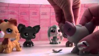 LPS ~ Kadonnut ystävyys #1
