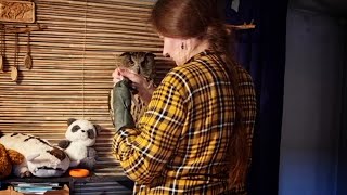 Дать лекарство сове и остаться в живых. Курс лечения филина Ёль и домового сыча Юйни начат