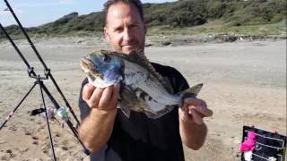 Surfcasting ... orate aprile 2015