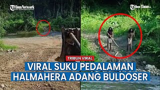 Viral Video Warga Suku Asli Pedalaman Halmahera Lawan Buldoser yang Masuk ke Wilayah Mereka