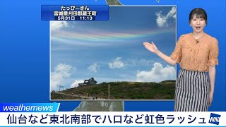 仙台など東北南部で虹色ラッシュ