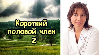 Короткий половой член 2