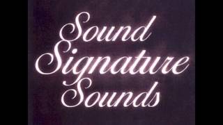 Theo Parrish - Music Pt. 1 - Sound Signature