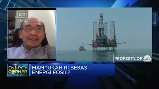 Agar BI Bebas Energi Fosil, Ini Saran Faisal Basri