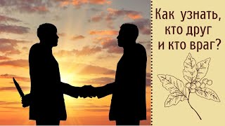Как узнать, кто друг и кто враг?