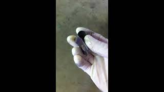 Volkswagen 2.0T TSI Wastegate Actuator Rod Rattle Fix (CCTA & CBFA)
