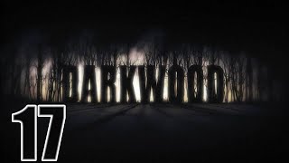 Прохождение Darkwood Серия 17 "Познаем жизнь на болотах"