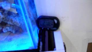 acuario marino 200 litros