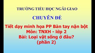 (Phần 2) Tiết dạy minh họa PP Bàn tay nặn bột - TNXH - lớp 2: Loại vật sống ở đâu?