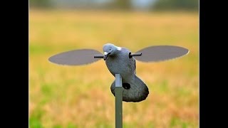 Обзор механического голубя фирмы Моджо