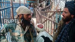 Pakistan: No refugee crisis at Torkham crossing, says Interior Minister