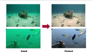 Local Color Mapping Combined with Color Transfer for Underwater Image Enhancement