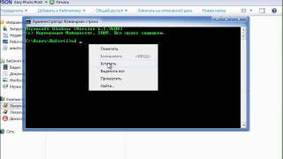Delphi видео урок - исходный код в проводнике Windows