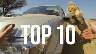 Top 10 Most Surprising Moments | The Lion Whisperer