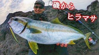 青物先生が主役です！な動画【ヒラマサチャレンジ２０１９第2回】