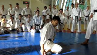 Yahara sensei keri waza