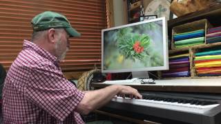 A Little Tune for Miss Judy