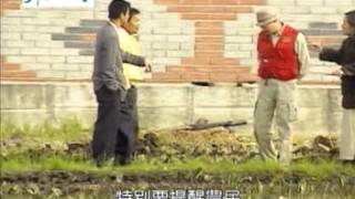 為我們的土地量身減肥 合理化施肥   芋頭