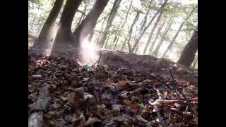 Commencal Ramones:MTB