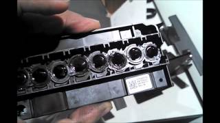 Stampflock Cabezal Epson DX5 Nuevo Plotter Impresion Titan Jet 1504