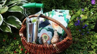 Осенняя посадка цветов с помощью посадочного конуса
